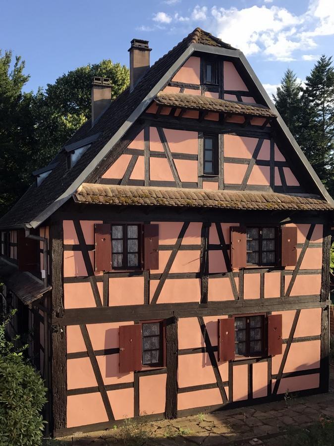 Maison Alsacienne Eschau Zewnętrze zdjęcie